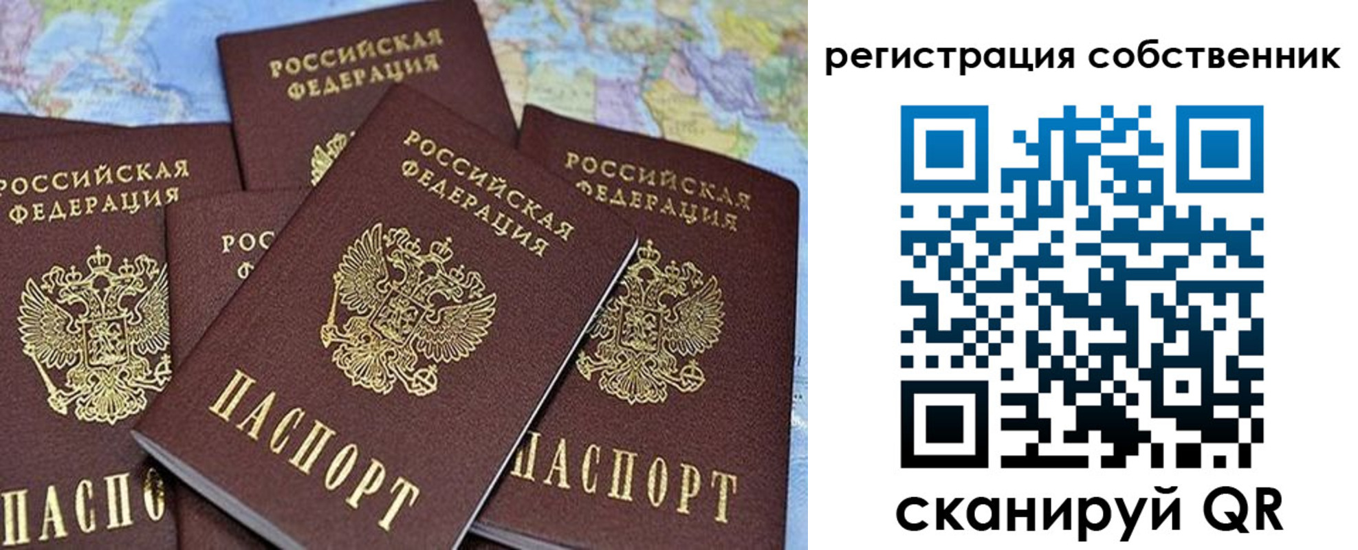 прописка для школы в Светлом